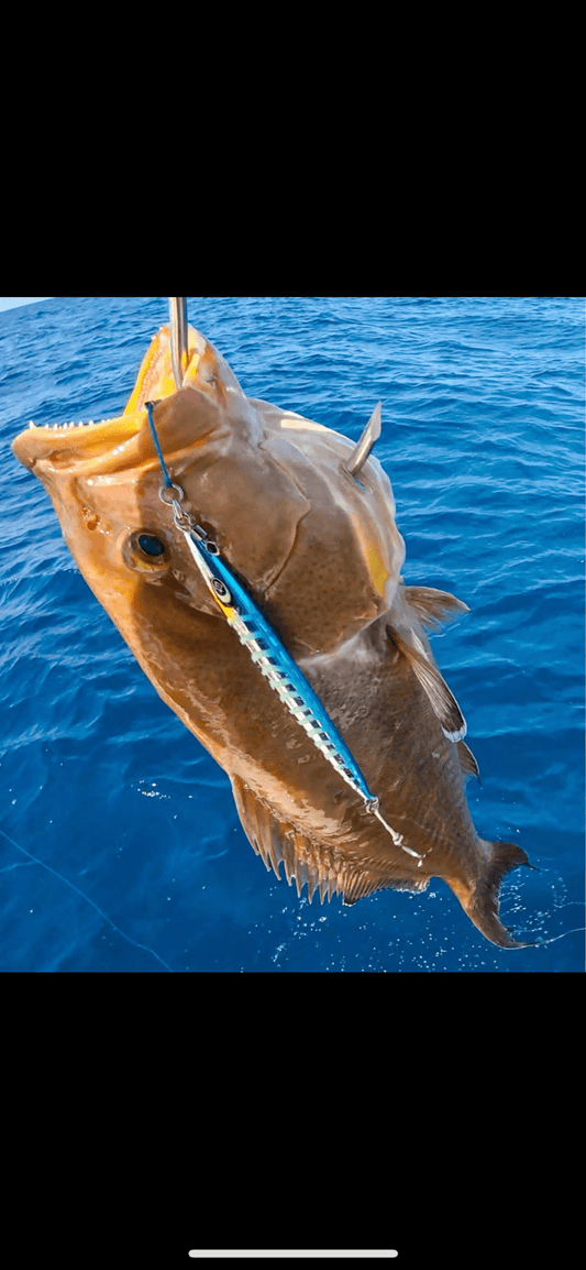 Torpedo "Ironman" Sardine Slow Pitch Jig