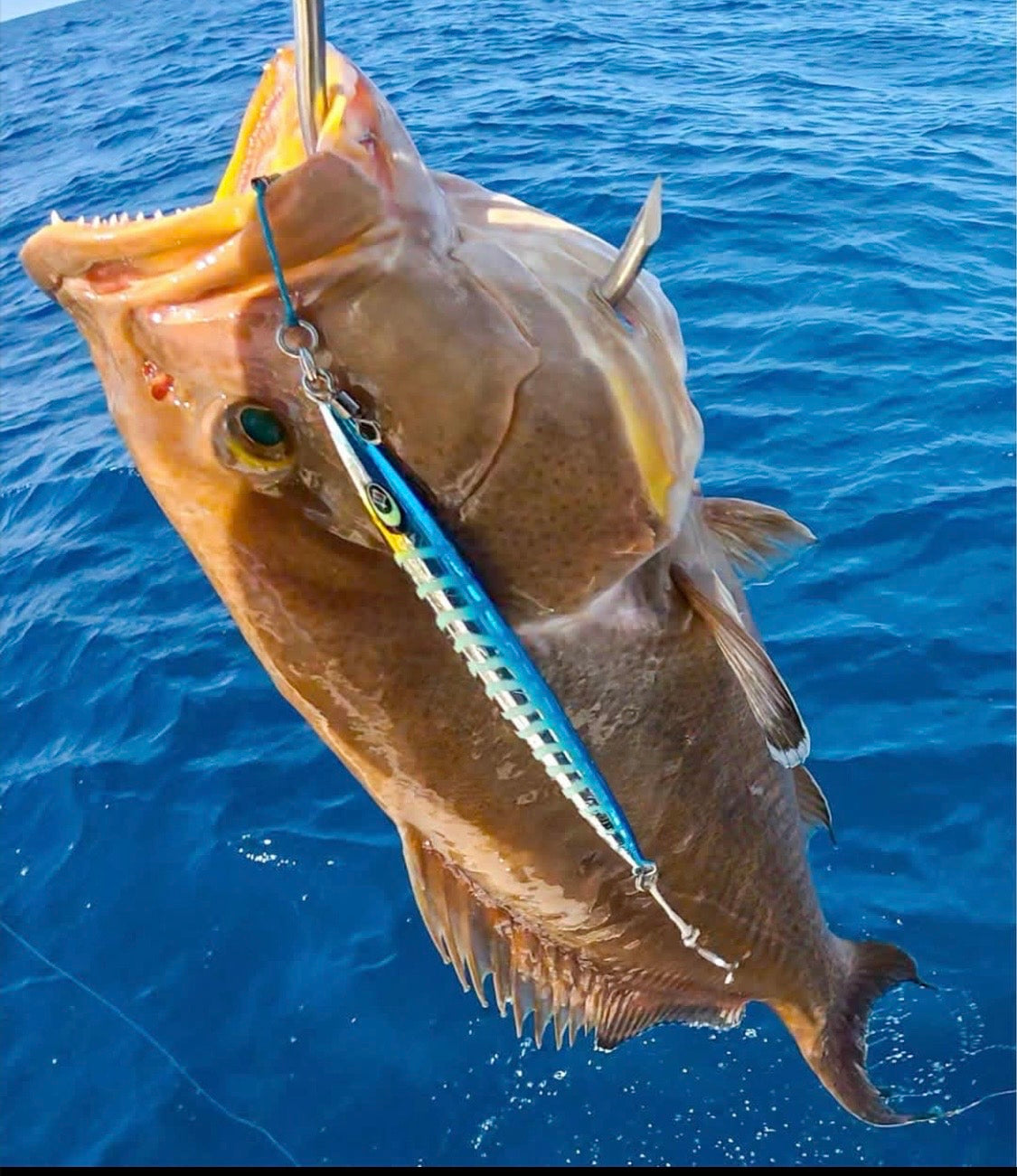 Kraken Jigz 🎣 Slow Pitch Jigs